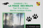 Trail "la trace des Wolfs", Gambais.
